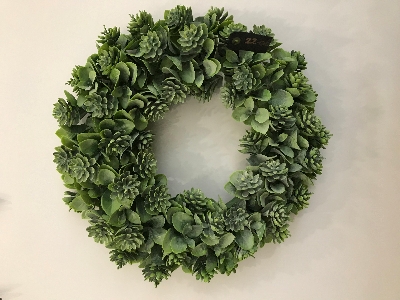 Green Succulent Wreath