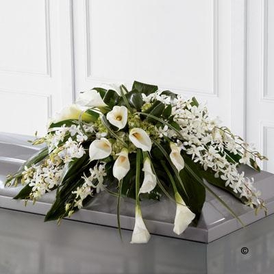 Callay Lily and Orchid Casket Spray *